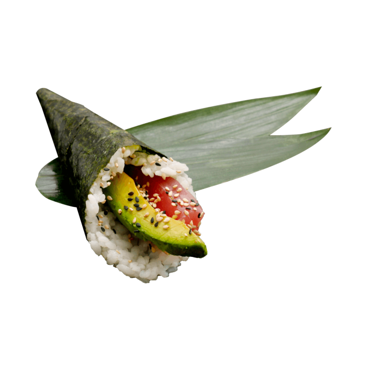 Témaki thon avocat