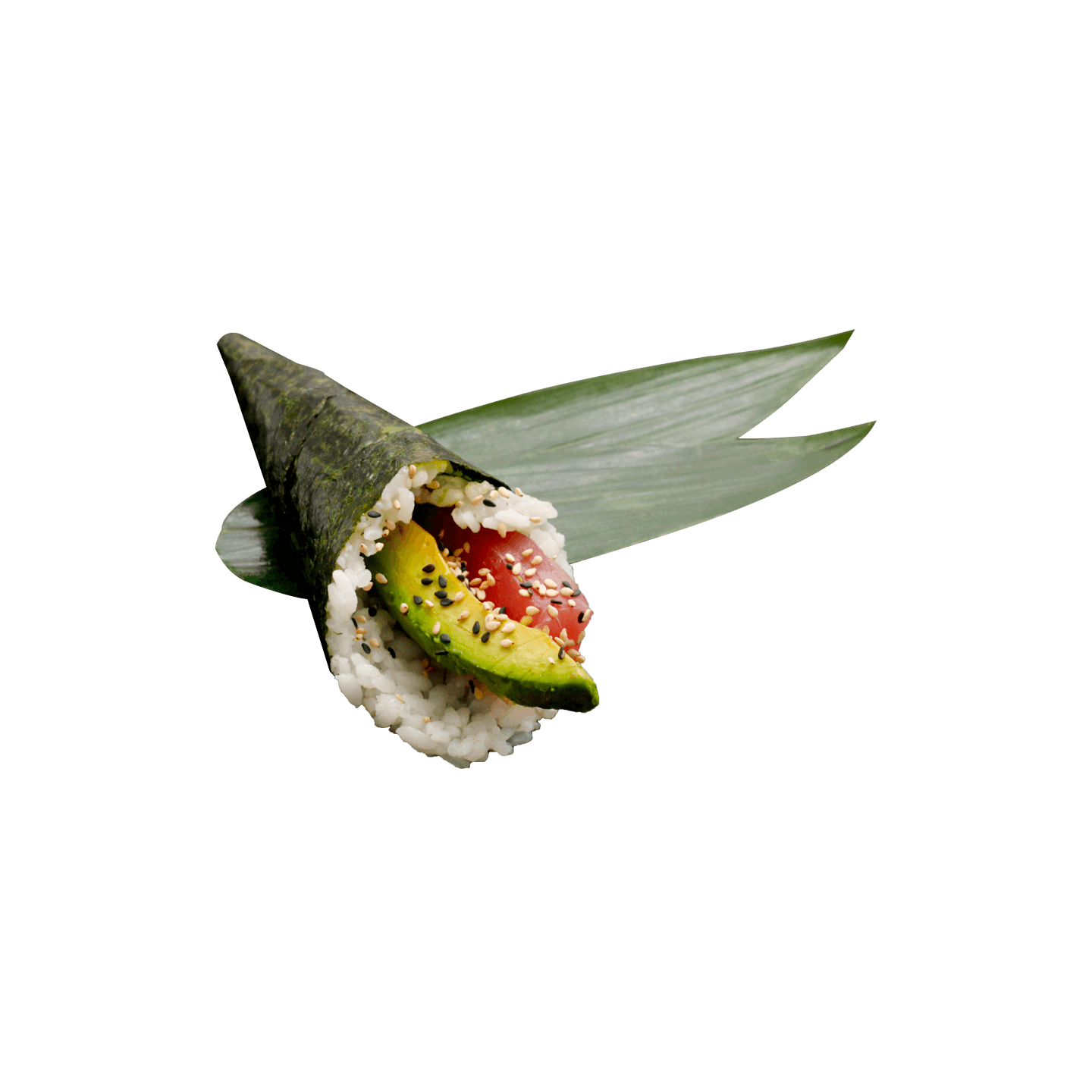 Témaki thon avocat