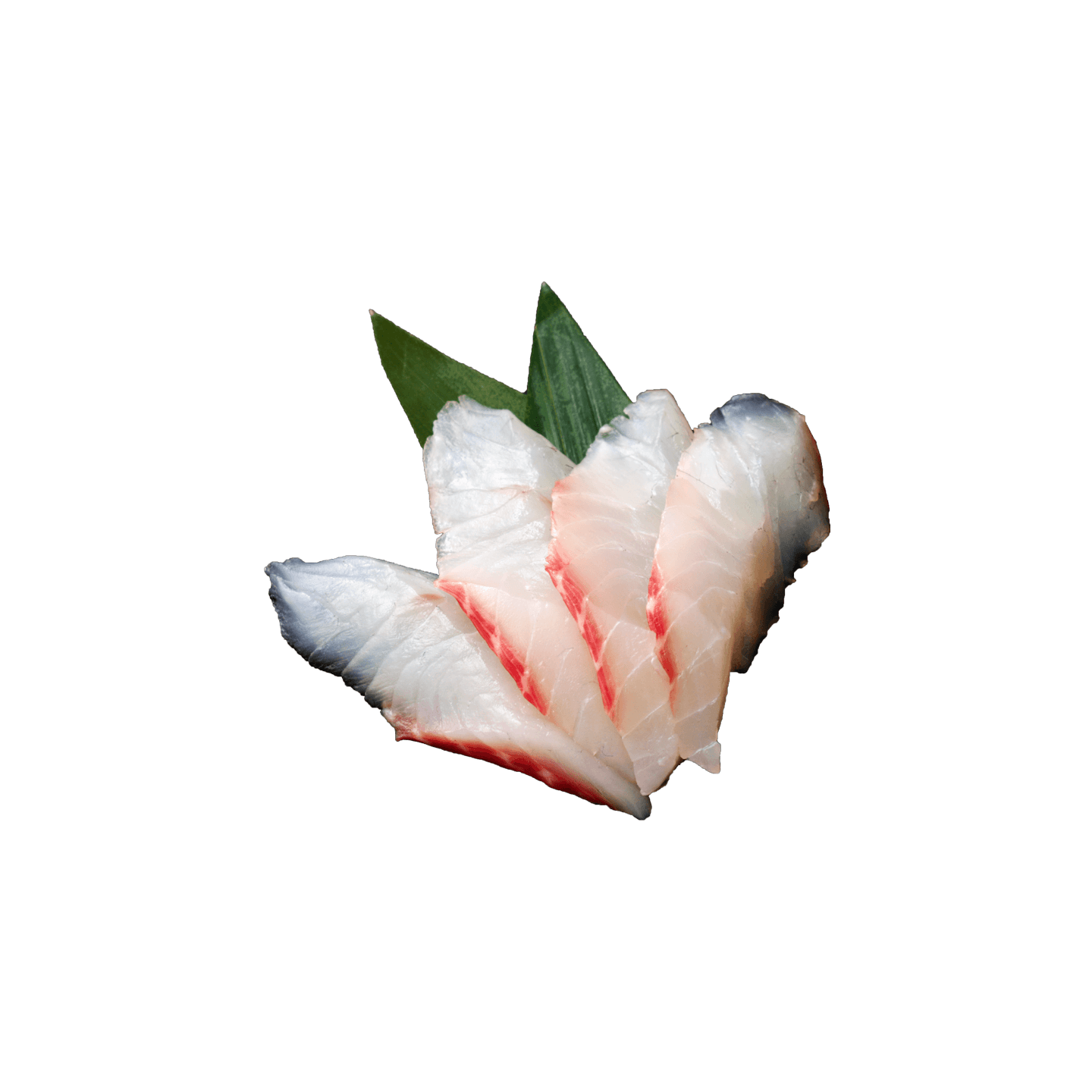 Sashimi dorade (4 pièces)