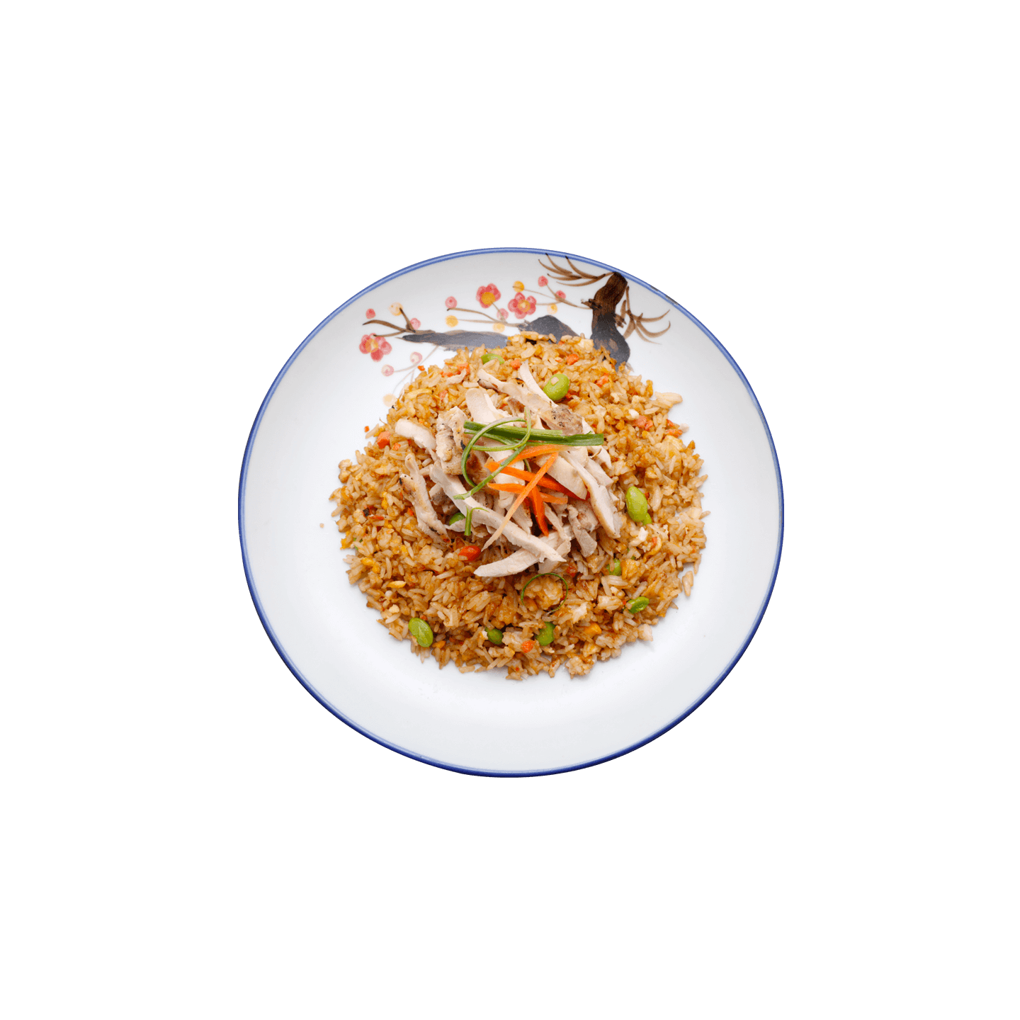 Riz sauté au poulet